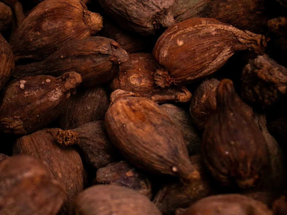 Rainforest Alliance Supply Chain